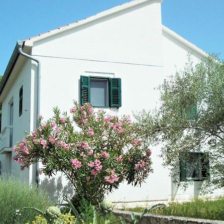 Rustic Holiday Home Miketa Lukoran Extérieur photo