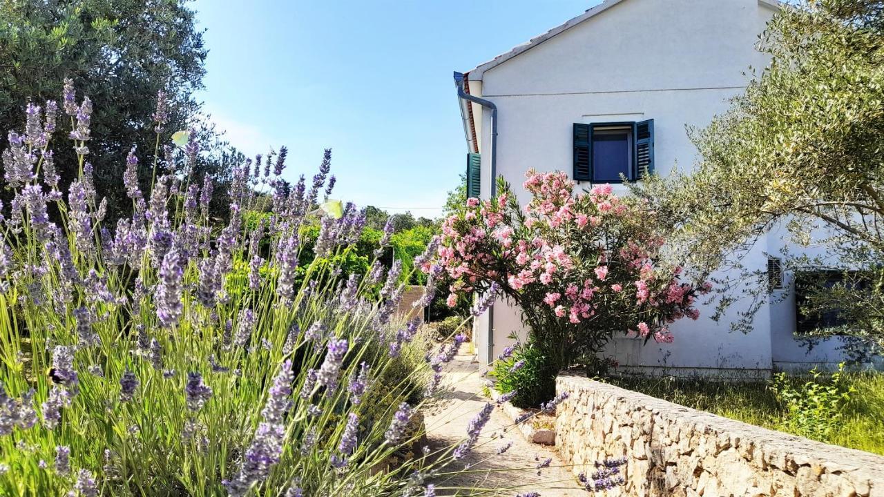 Rustic Holiday Home Miketa Lukoran Extérieur photo