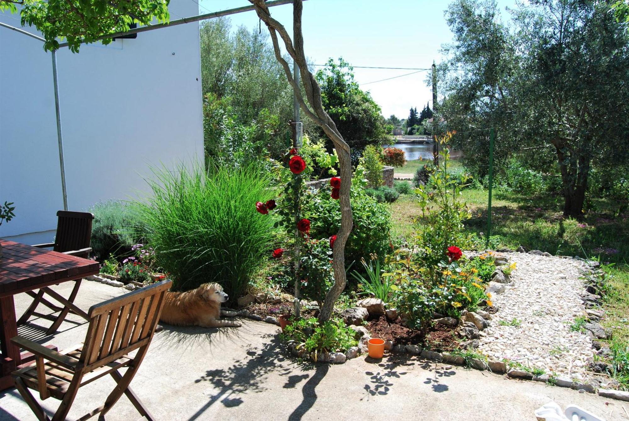 Rustic Holiday Home Miketa Lukoran Extérieur photo